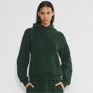 Aritzia Perfect Hoodie - Scarab